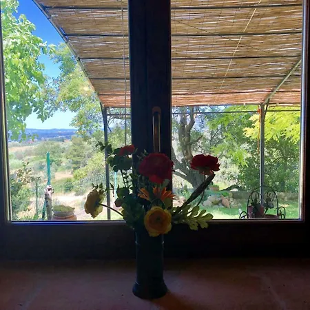Apartament Haus Malerin - Meerblick, Umzaeunter Garten By Toscanatour Guardistallo